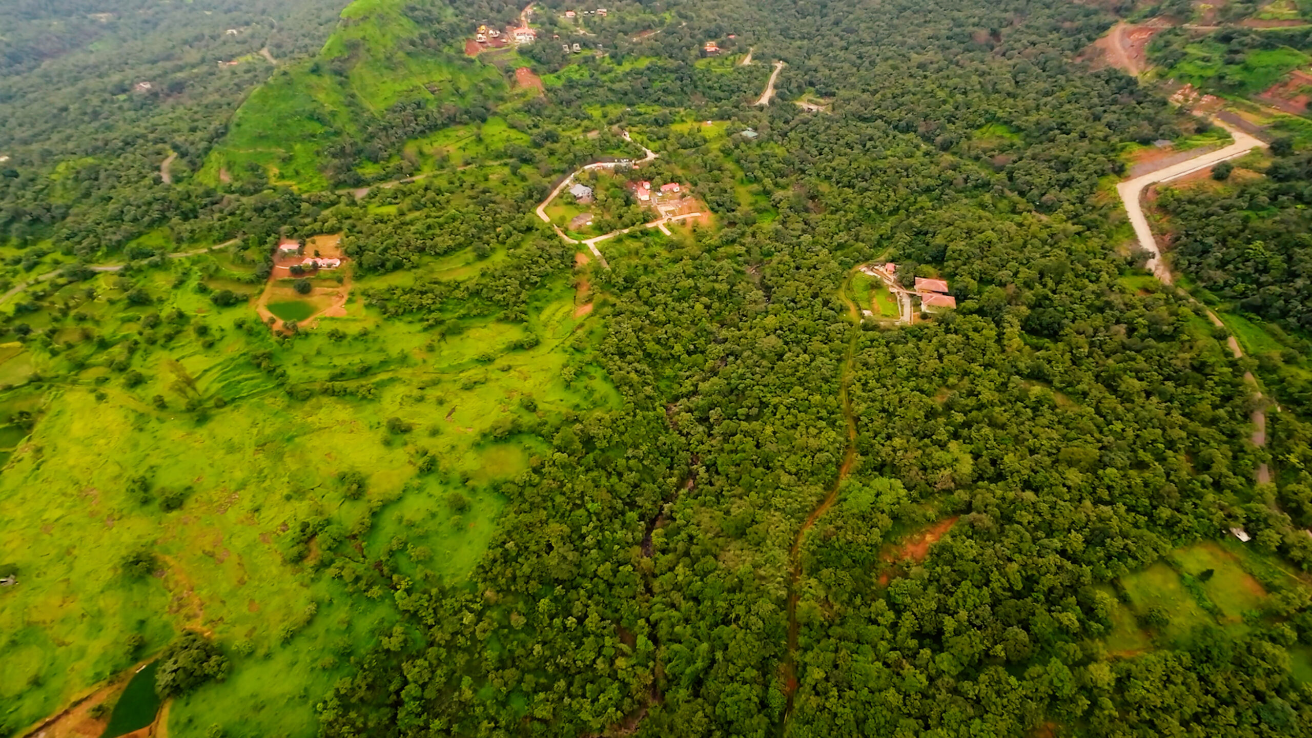 ss.00_01_27_05.Still003