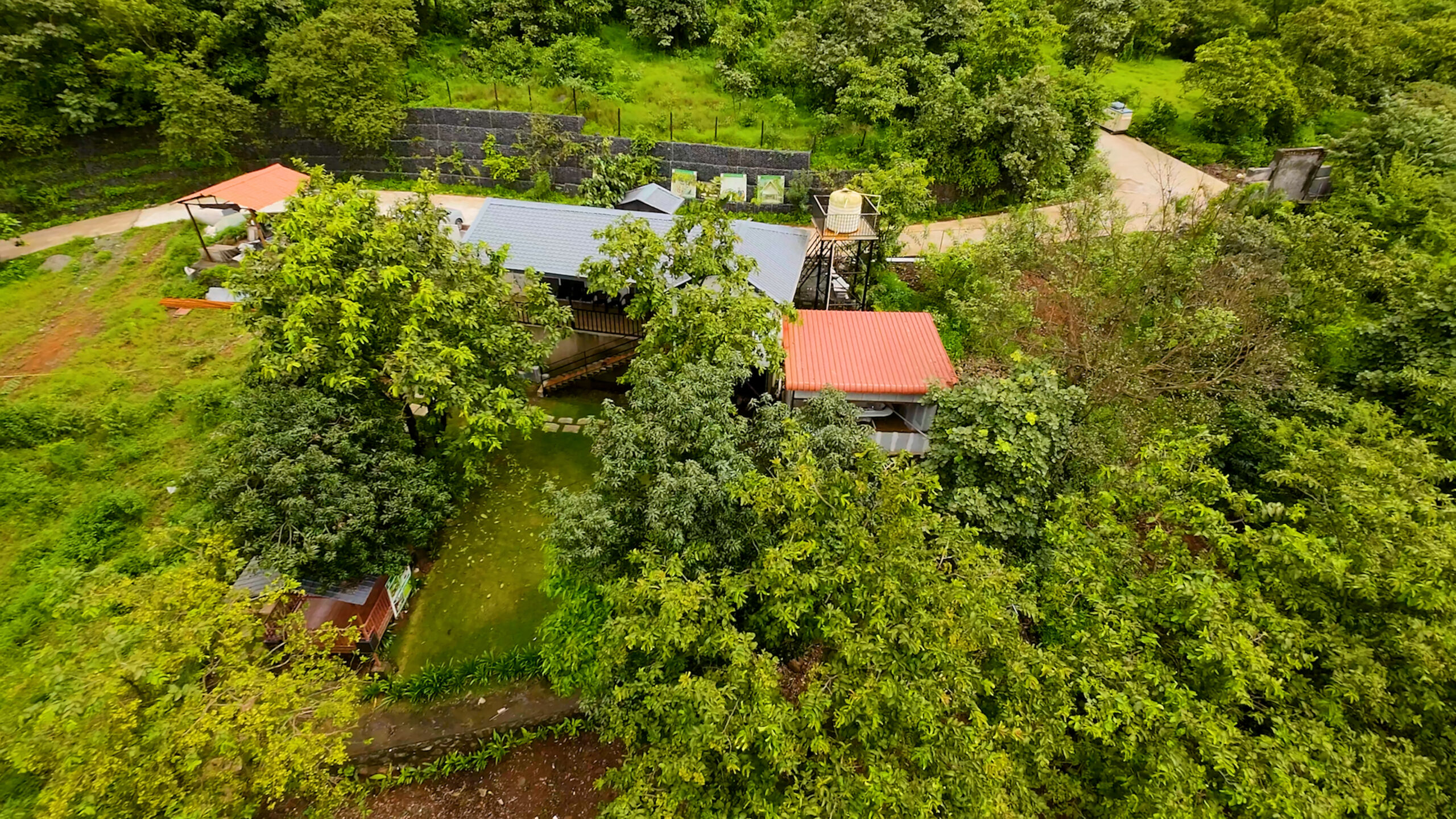 ss.00_02_43_03.Still012