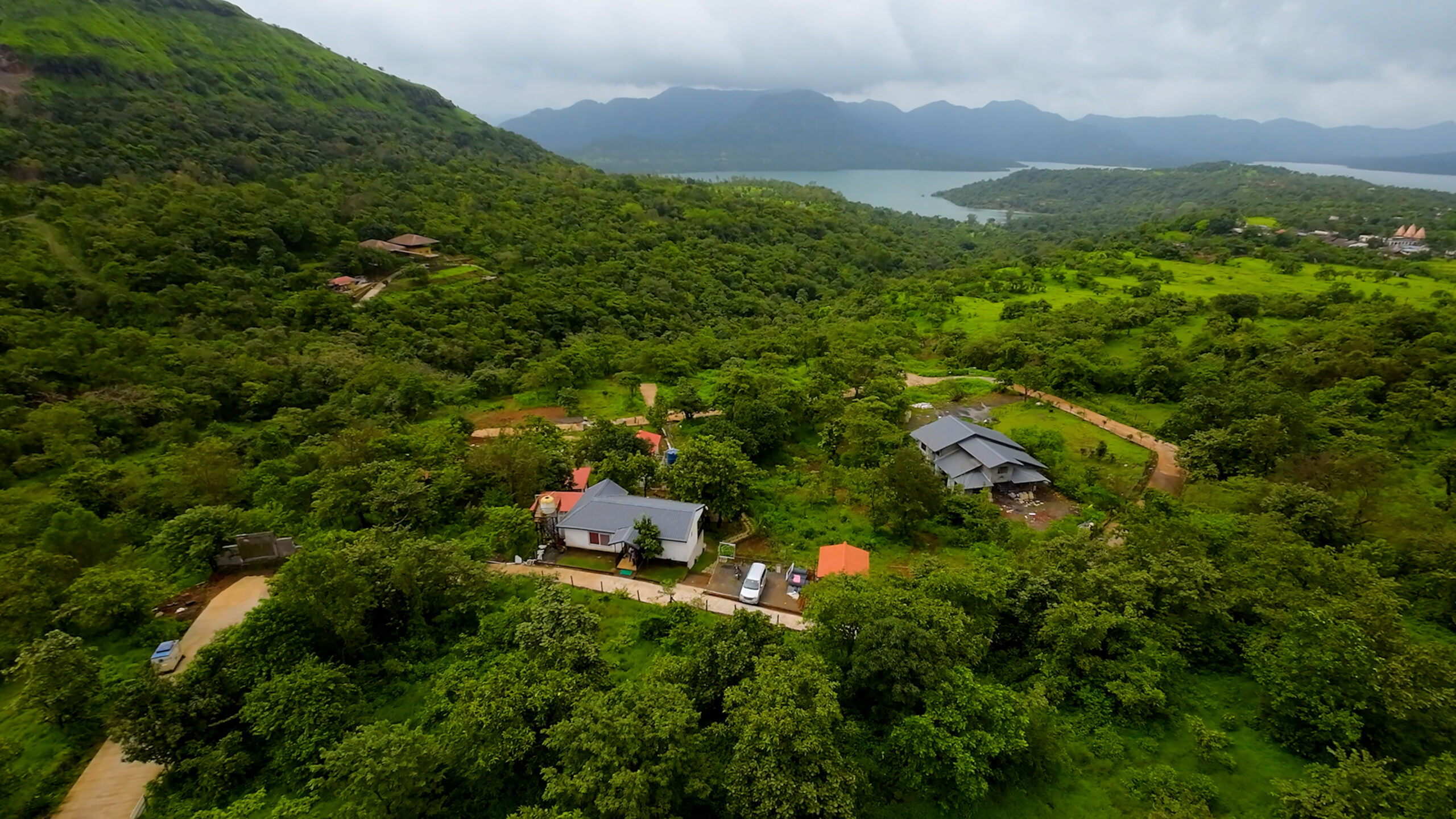 ss.00_03_07_07.Still014