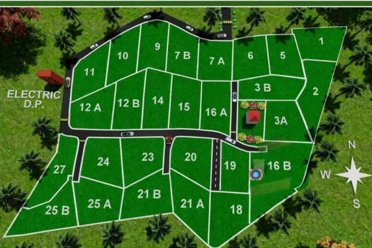 Plot layout plan of Royal View Farms Phase 2 showing 11,000 sq. ft. farmhouse plots in Mulshi near Pune.