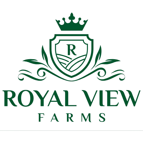 RVF_Logo_-_White-removebg-preview